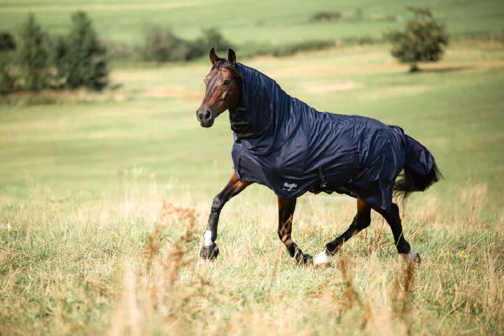 Covalliero Fliegendecke RugBe SuperFly